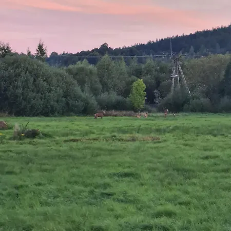 U Heleny * Sosnówka