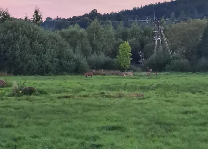 U Heleny * Sosnówka